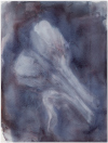 Öiset artisokat / Artichokes at Night, 2012, akvarelli / watercolour, 41 x 31 cm